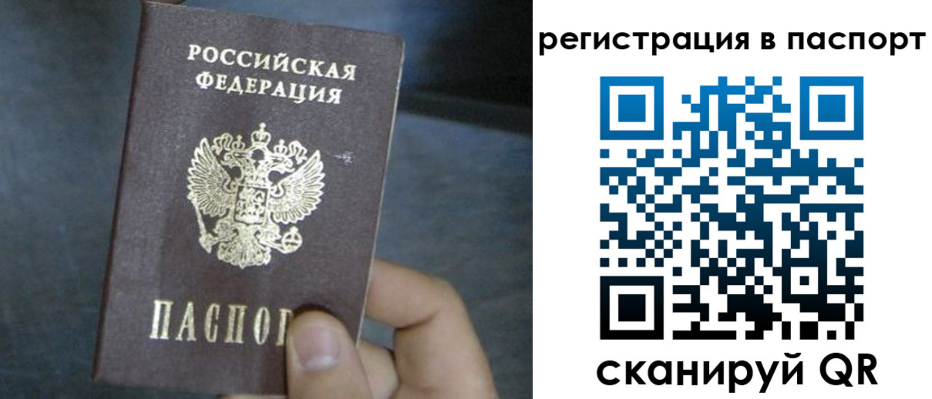 прописка 2025 в Артёме
